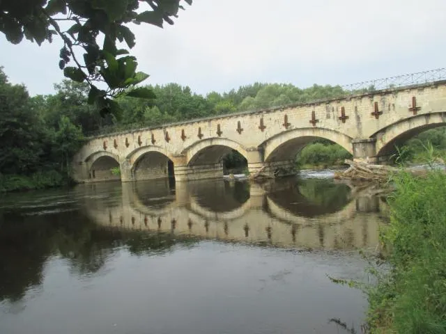 Image qui illustre: Visite Guidée À Pied Ou À Vélo D'ainay Le Vieil Et Du Canal De Berry, Découverte De La Nature Et Secrets Des Plantes Avec Le Poète Enchanteur