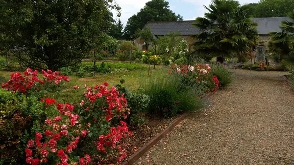 Image qui illustre: visite libre d'un jardin à Rocheservière - 0