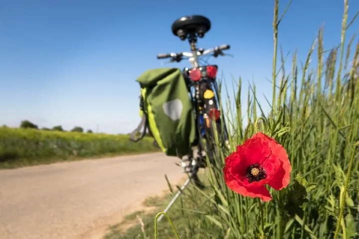 Image qui illustre: Cyclotourisme : Le Pays Decazevillois - Vallée du Lot