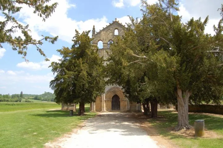 Image qui illustre: Visite libre de l'abbaye et de la bastide de Blasimon