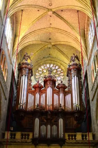 Image qui illustre: Concert-démonstration d'orgue