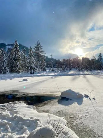 Image qui illustre: Le Lac De Lispach