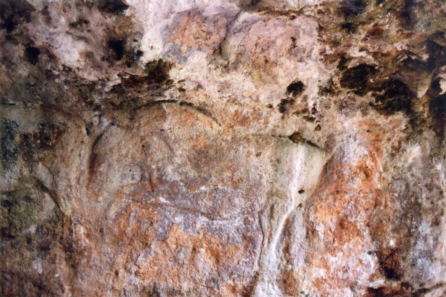 Image qui illustre: Découverte de l'abri préhistorique de La-Chaire-à-Calvin à Mouthiers-sur-Boëme - 0