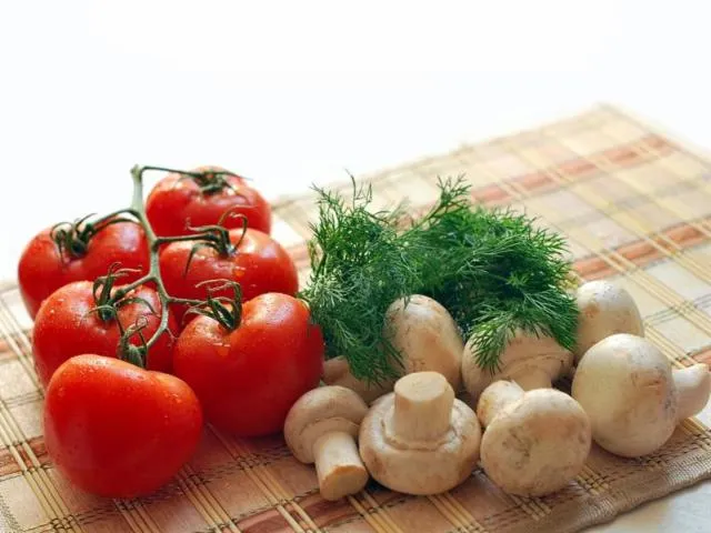 Image qui illustre: Initiation A La Mycologie : Récolte, Étude, Conférence