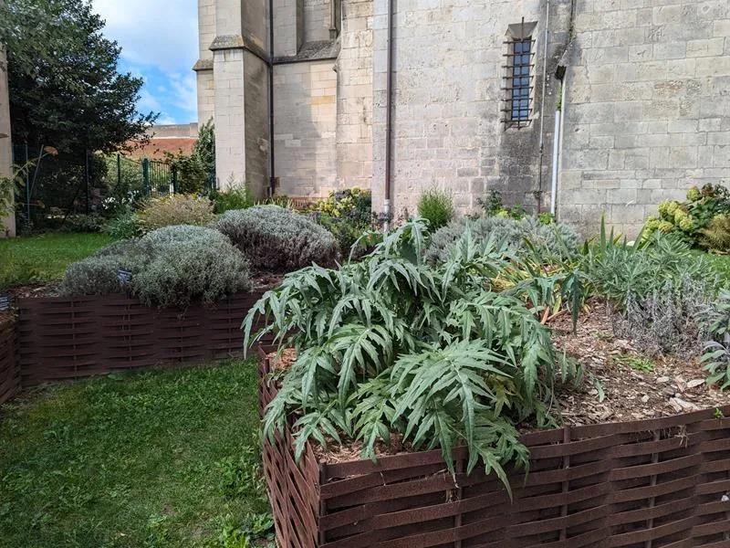 Image qui illustre: Jardin Des Contreforts à Toul - 0