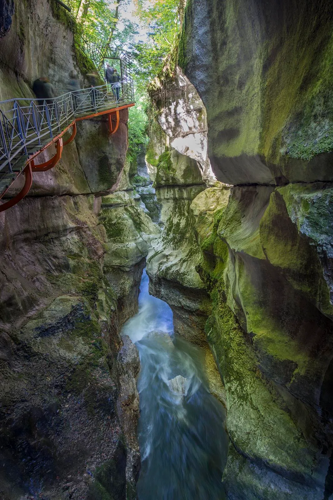 Image qui illustre: Gorges du Fier