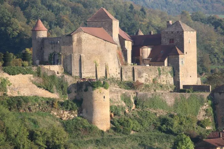 Image qui illustre: Visite guidée de la forteresse de Berzé-le-Châtel