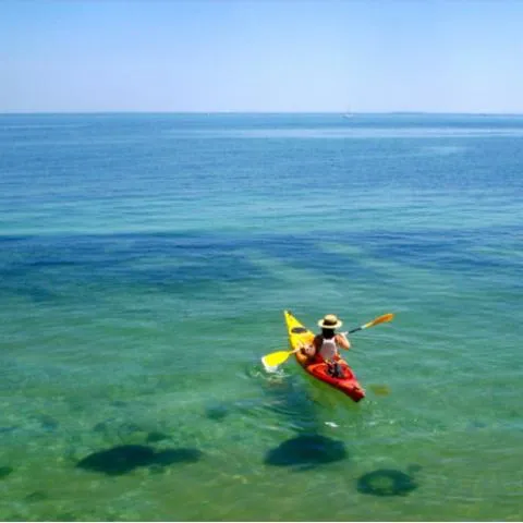 Image qui illustre: Sur une Île - Canoë - Kayak - Stand Up Paddle