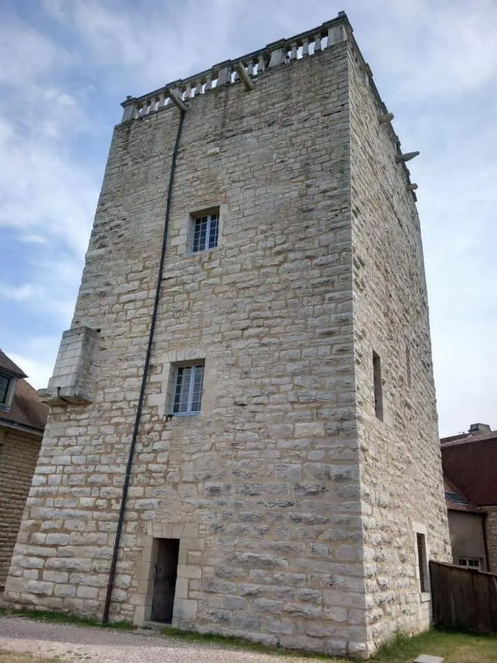 Image qui illustre: Visite guidée d'un donjon médiéval emblématique à Chaumont - 0