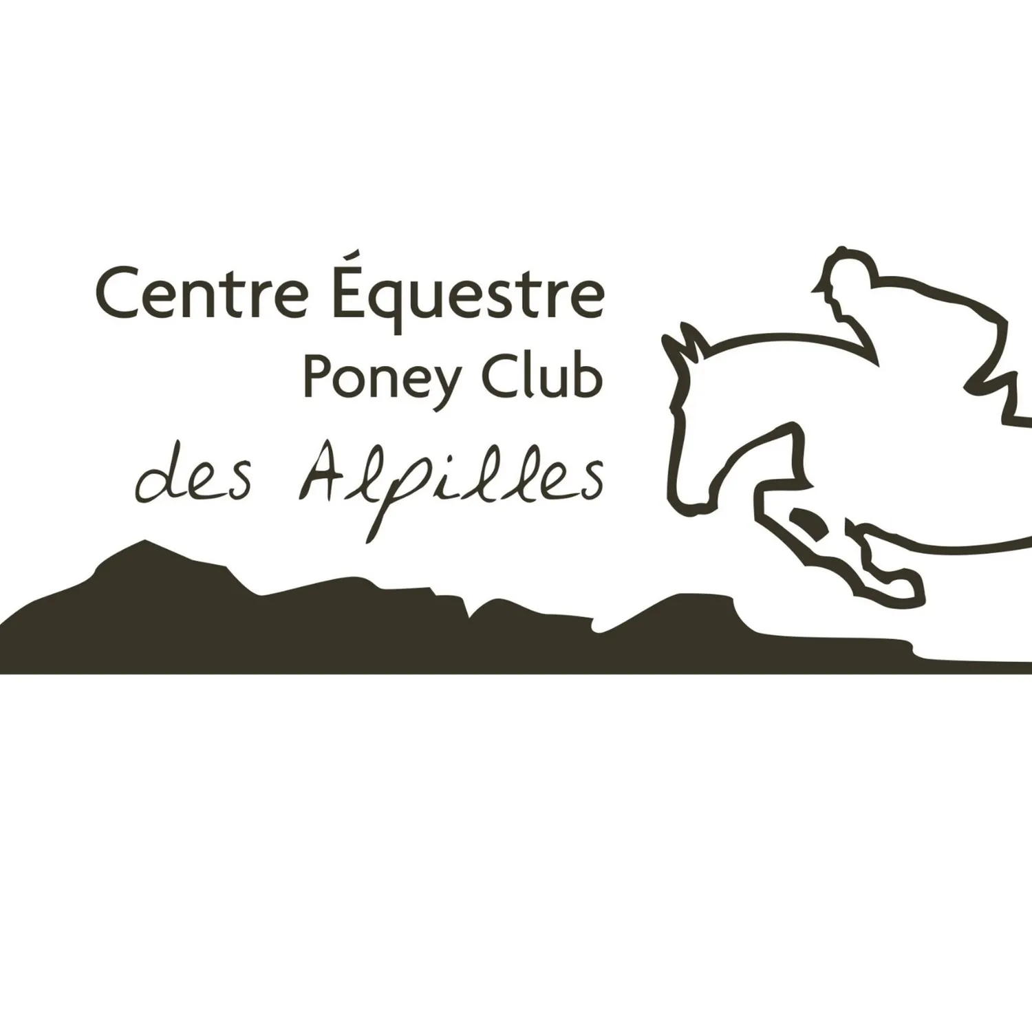 Image qui illustre: Centre Equestre des Alpilles à Saint-Étienne-du-Grès - 0