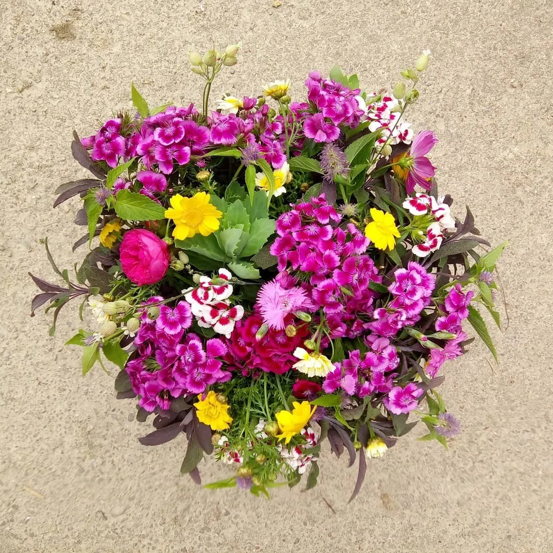 Image qui illustre: Créez votre bouquet de fleurs comestibles à Ploërmel - 0