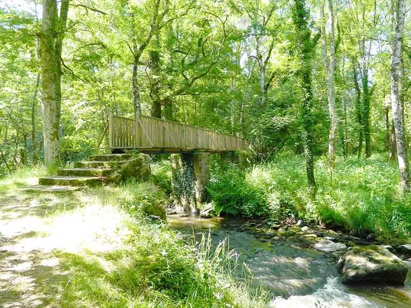 Image qui illustre: Histoire Et Nature à Saint-Laurent-sur-Gorre - 0