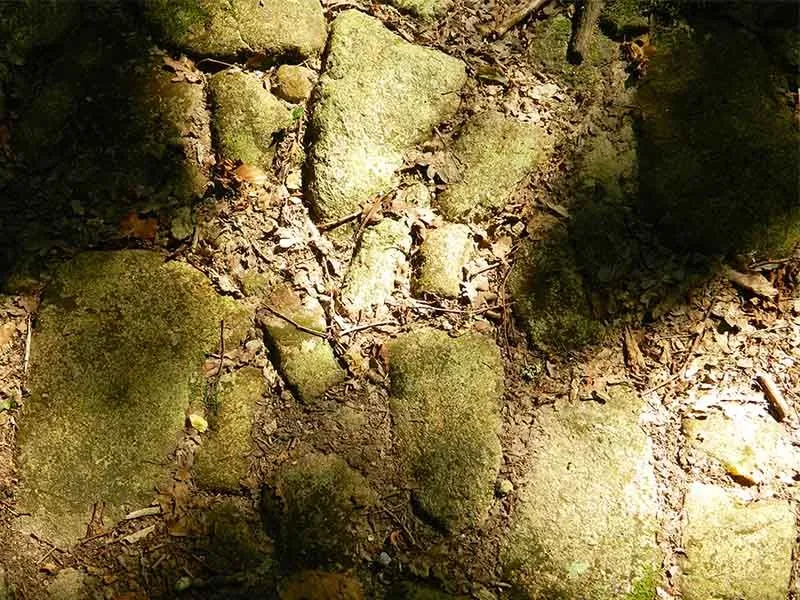 Image qui illustre: Histoire Et Nature à Saint-Laurent-sur-Gorre - 1