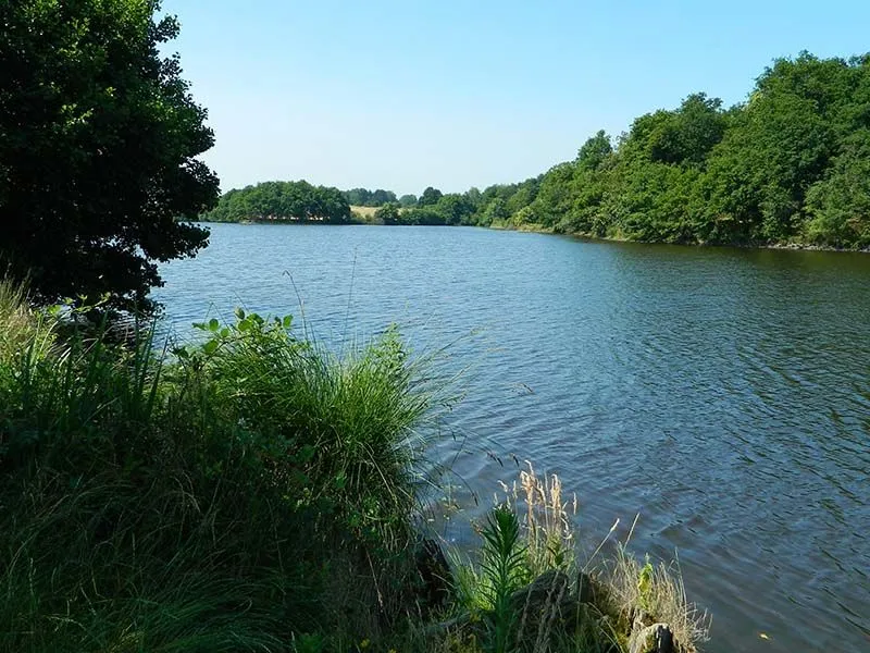 Image qui illustre: Histoire Et Nature à Saint-Laurent-sur-Gorre - 2