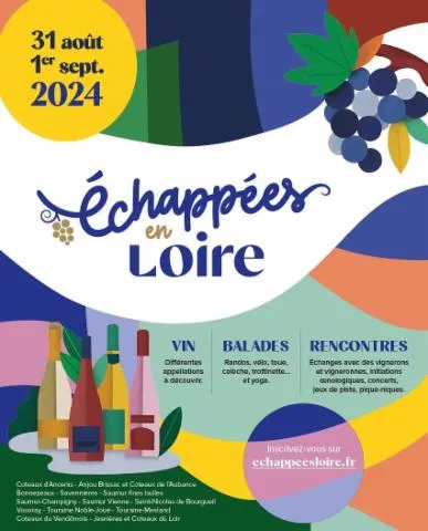 Image qui illustre: Echappées en Loire (Saumur-Vienne)