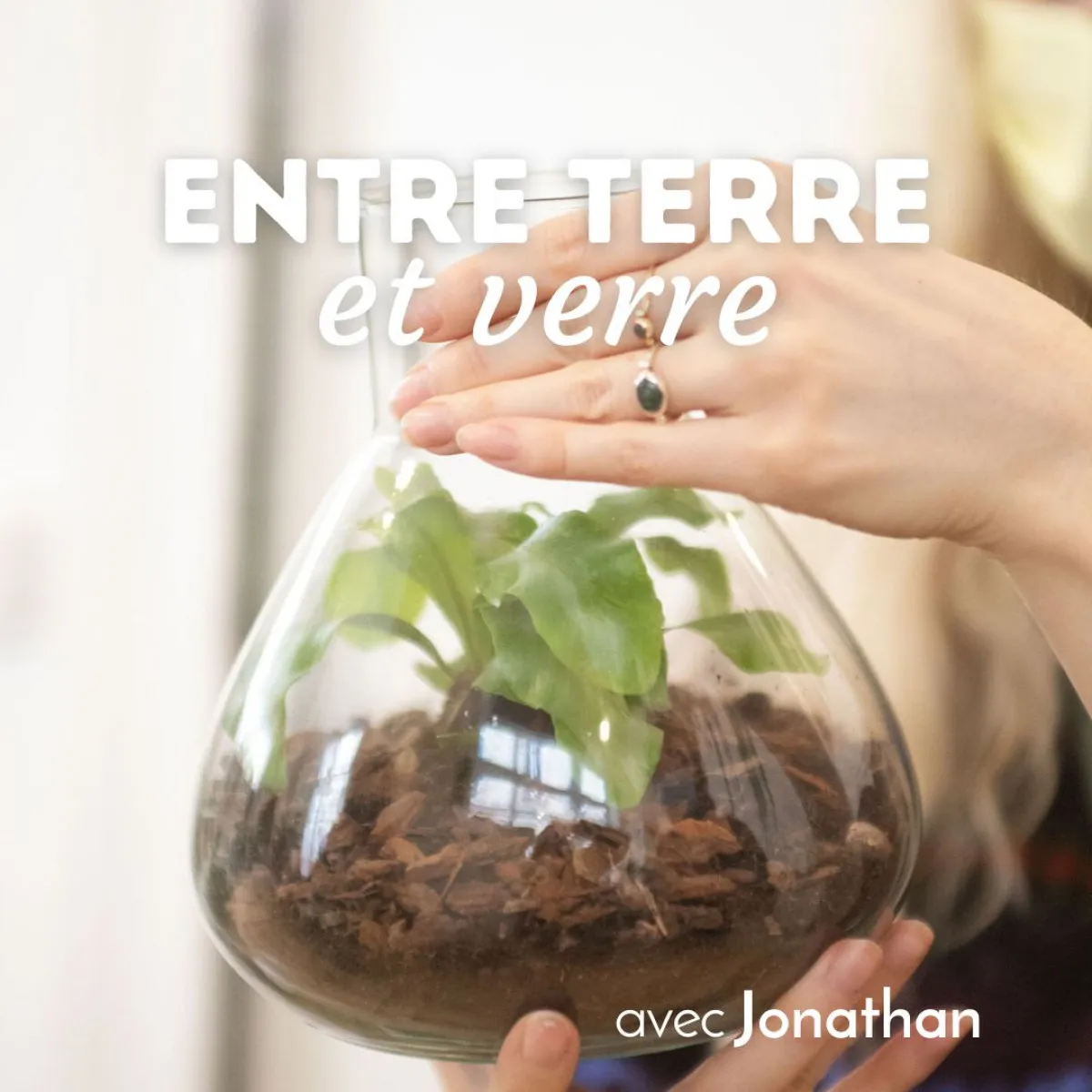 Image qui illustre: Fabriquez votre terrarium à Bordeaux - 0