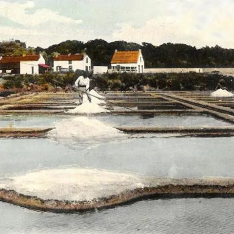 Image qui illustre: Inauguration de l'exposition L'histoire du sel au Croisic