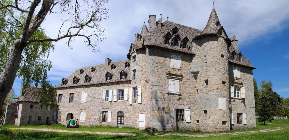 Image qui illustre: Chateau De Fournels