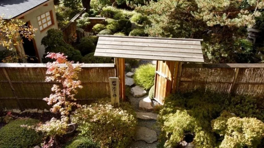 Image qui illustre: Visite guidée d’un jardin japonais traditionnel