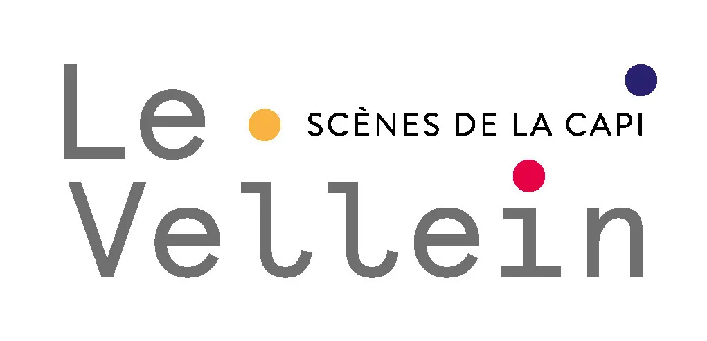 Image qui illustre: Visite du Théâtre du Vellein à Villefontaine - 0