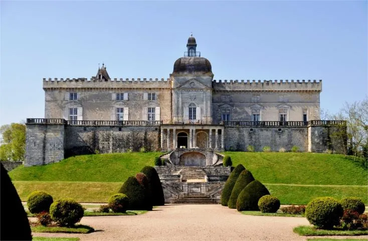 Image qui illustre: Château De Vayres