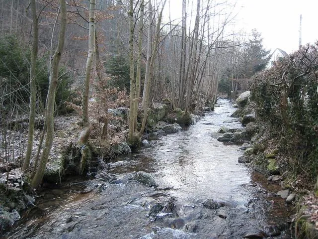 Image qui illustre: Sentier De L'ehn