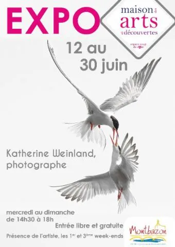 Image qui illustre: Exposition De Katerine Weinland, Photographe