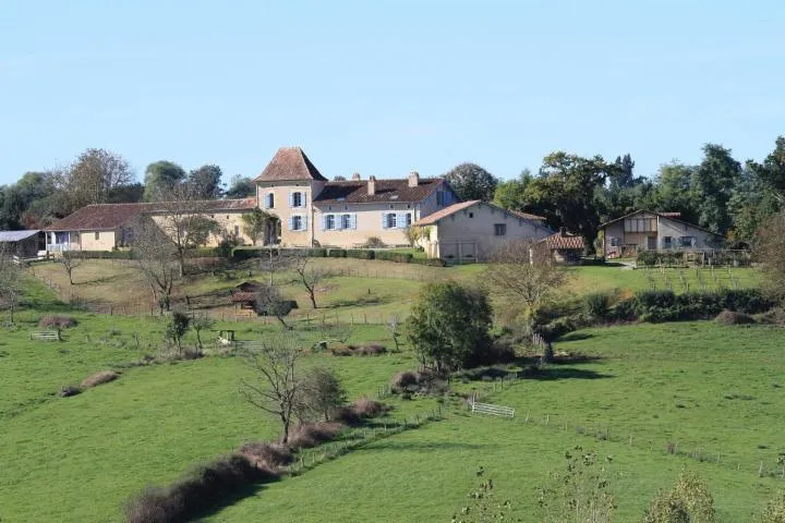 Image qui illustre: Musée De La Chalosse