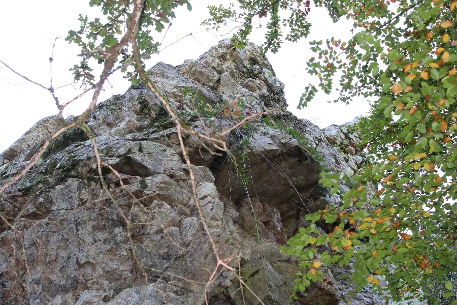 Image qui illustre: Site D'escalade De Trescos à Rullac-Saint-Cirq - 0