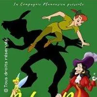 Image qui illustre: Peter Pan : Ou est Clochettes ?