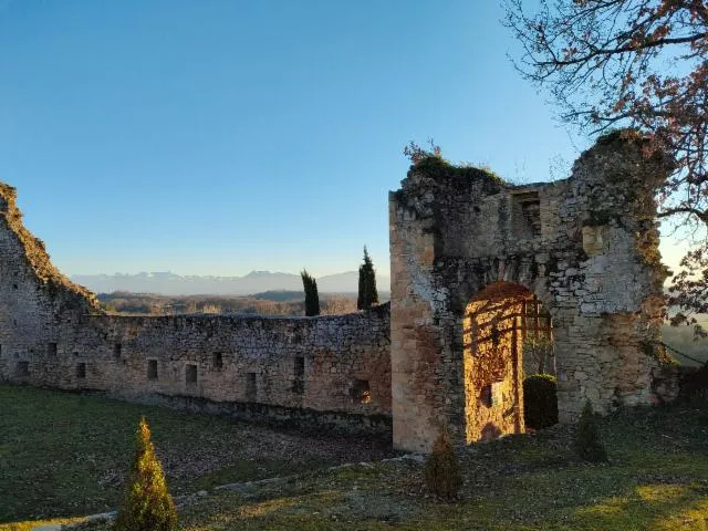 Image qui illustre: Château Fort De Saint-marcet
