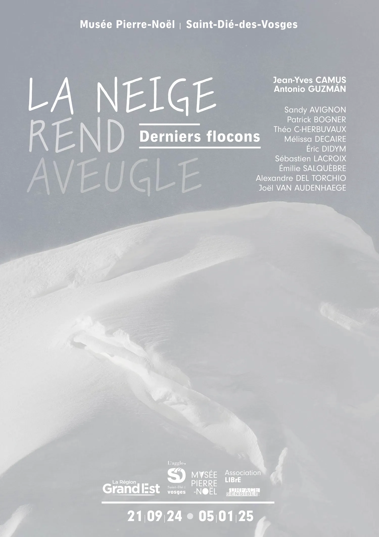 Image qui illustre: Vernissage de l'exposition La Neige rend aveugle / Derniers flocons à Saint-Dié-des-Vosges - 0