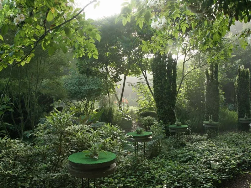 Image qui illustre: Jardin "intérieur À Ciel Ouvert" à Athis-Val de Rouvre - 0