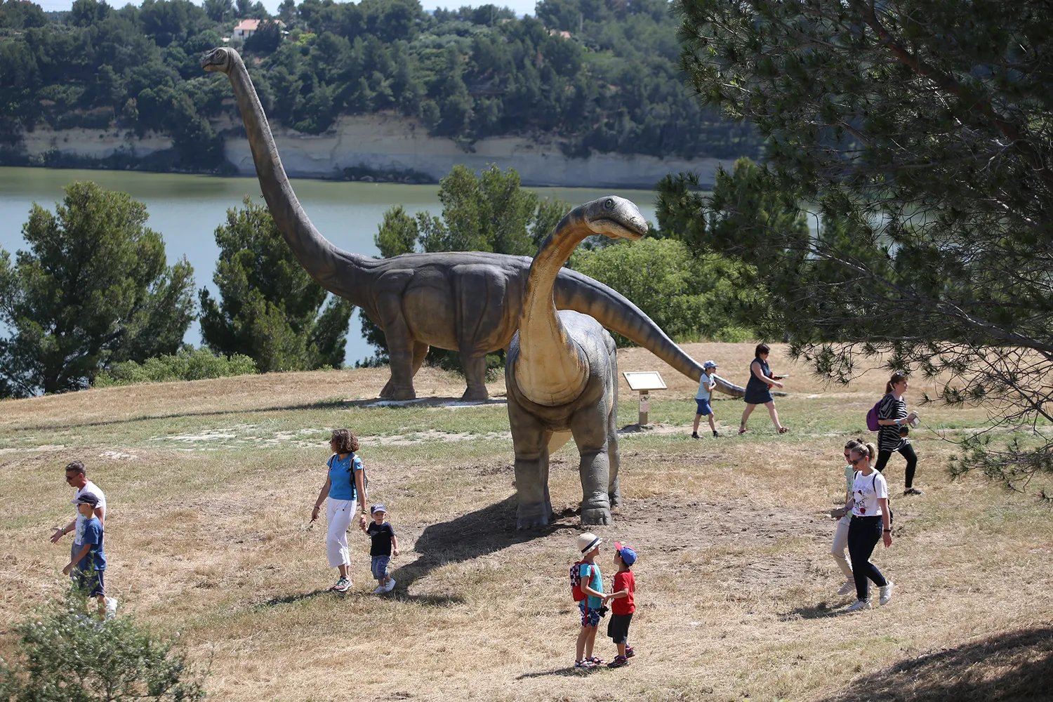 Image qui illustre: Dinosaur'istres à Istres - 2