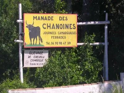 Image qui illustre: Manade Des Chanoines à Arles - 0