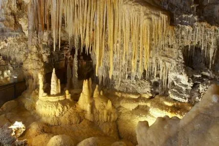 Image qui illustre: Les 60 Ans De La Grotte De Clamouse