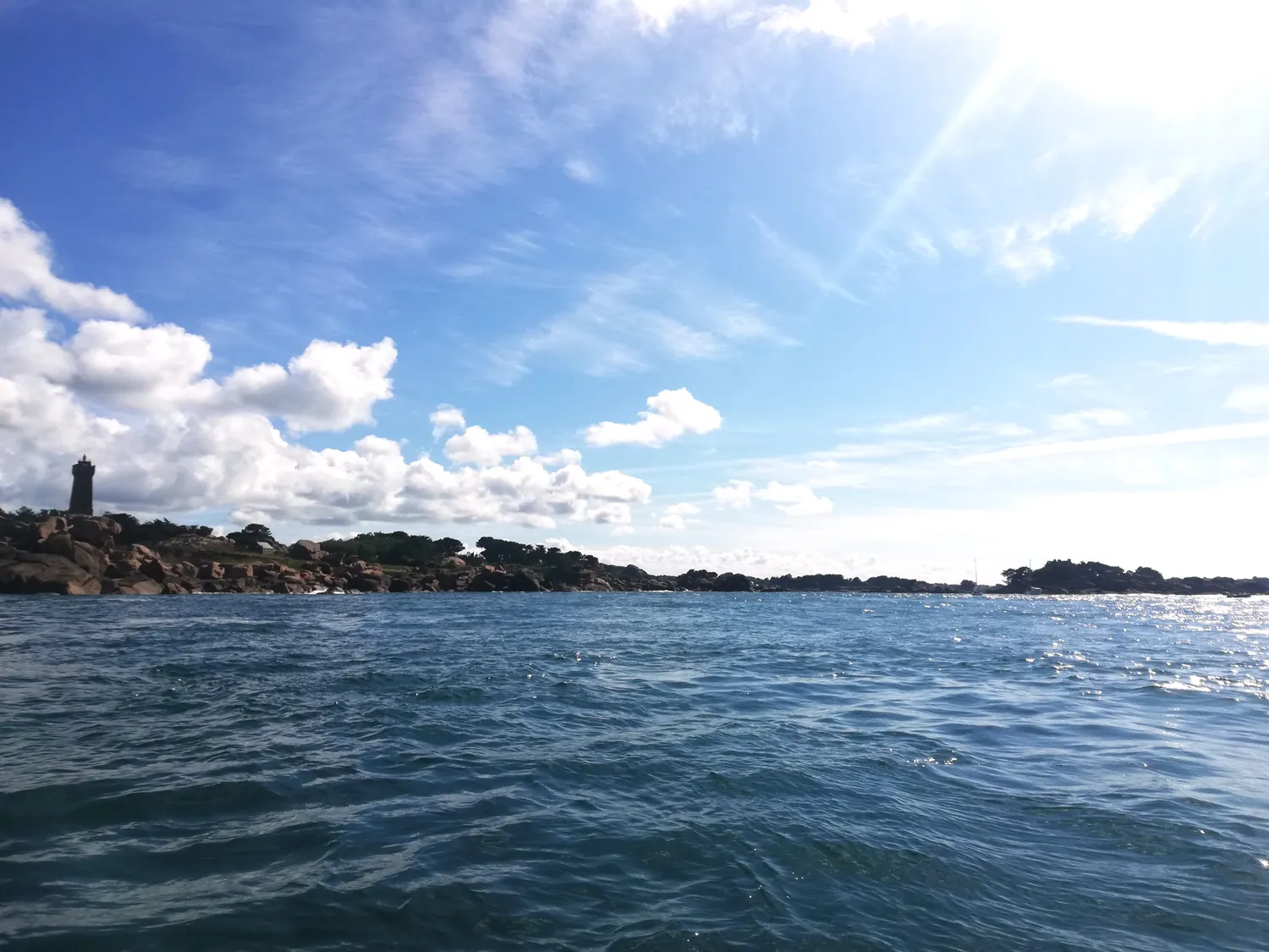 Image qui illustre: "requin", Entre Mythes Et Réalités- (ploumanac'h) à Perros-Guirec - 2