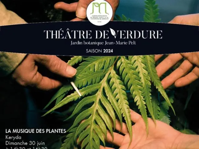Image qui illustre: Spectacle - Keryda Et La Musique Des Plantes