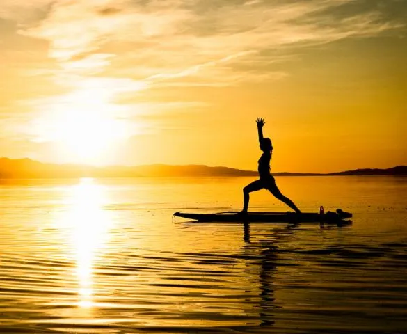 Image qui illustre: Paddle Yoga