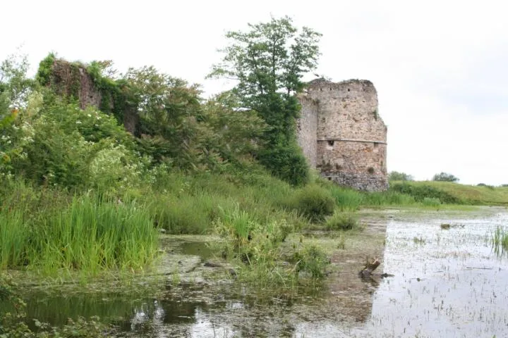 Image qui illustre: Château De La Rivière
