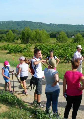 Image qui illustre: Le sentier des Vignerons de Rognes