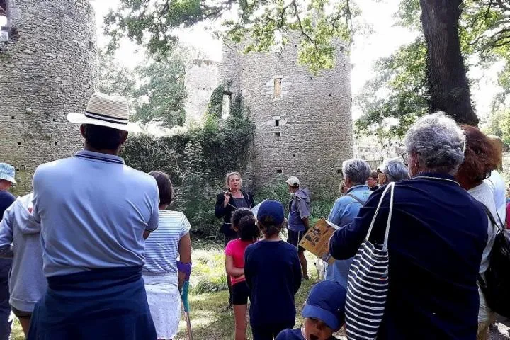 Image qui illustre: Visite décalée Château à vendre