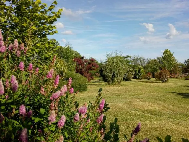 Image qui illustre: Les Jardins ethnobotaniques de Haute Terre