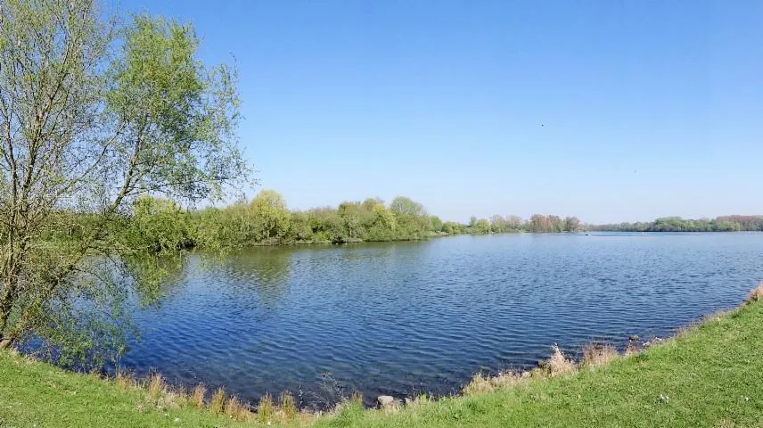 Image qui illustre: Lac du Héron