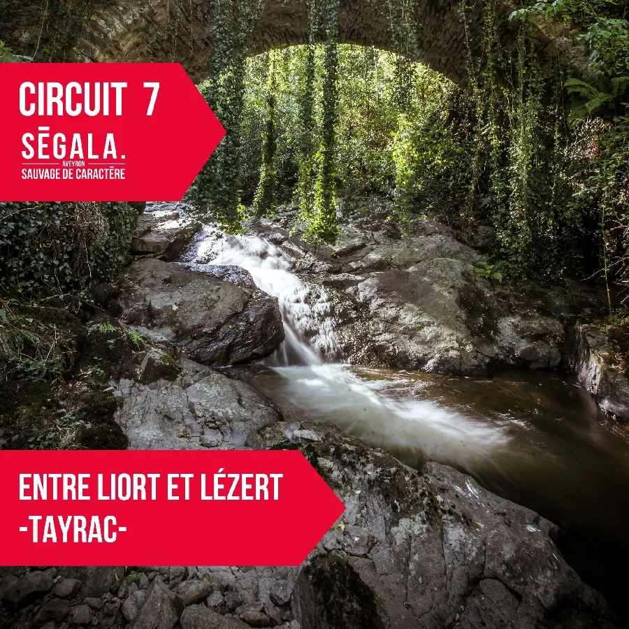 Image qui illustre: Circuit Vtt Vae - Entre Liort Et Lézert - Tayrac à Rieupeyroux - 0