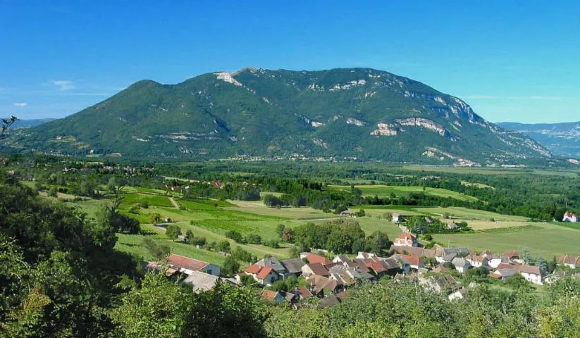 Image qui illustre: Le Grand Colombier