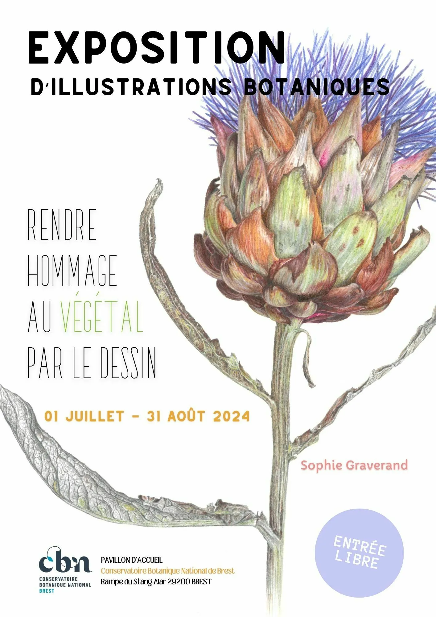 Image qui illustre: Rendre hommage au végétal par le dessin à Brest - 0