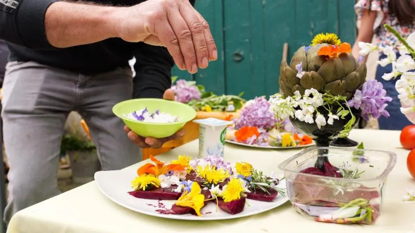 Image qui illustre: Préparez vos salade et sirop de fleurs à la ferme