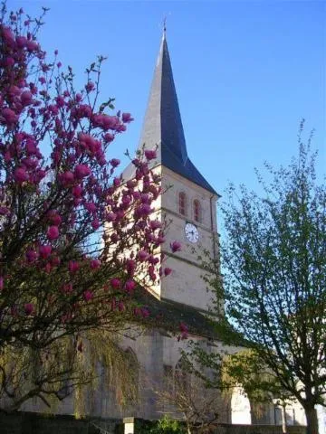 Image qui illustre: Église Notre Dame De L'assomption