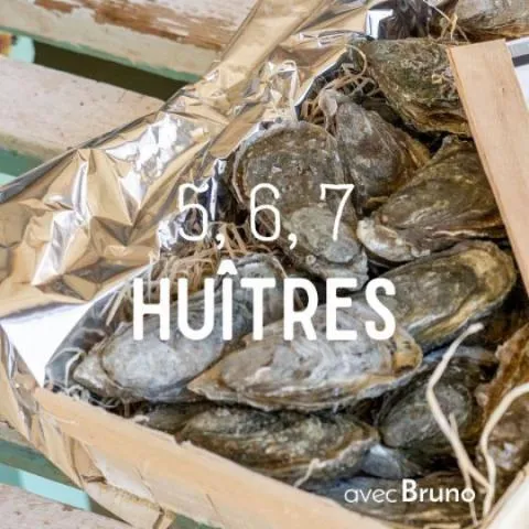 Image qui illustre: Visitez une ferme ostréicole et dégustez 8 huîtres